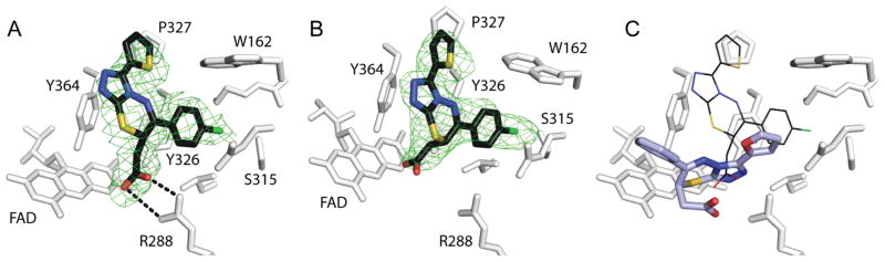 Figure 5