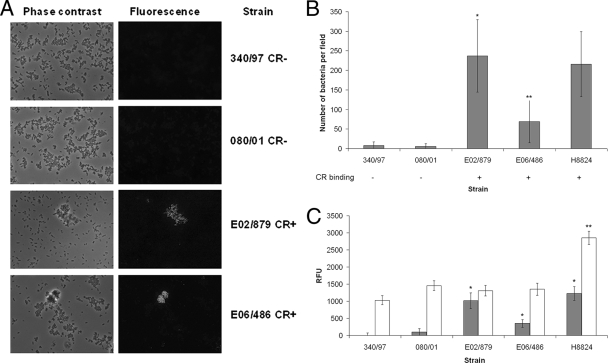 FIG. 6.