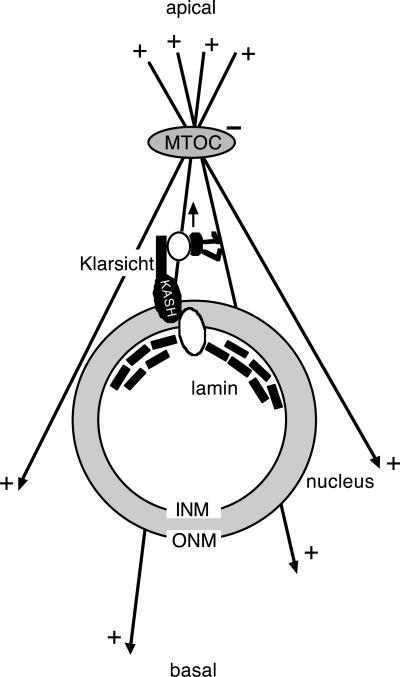 Figure 8.