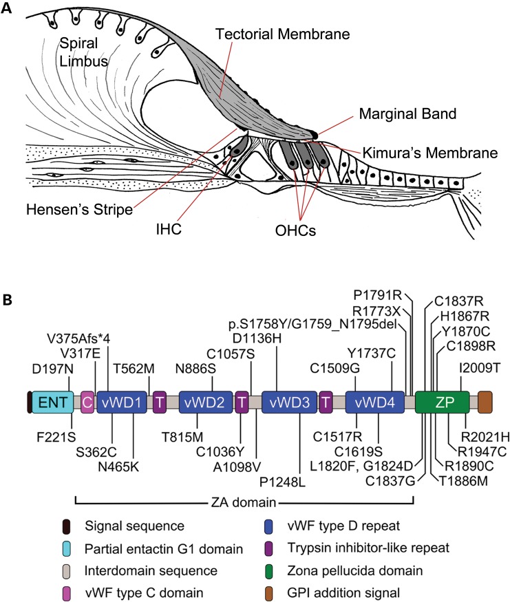 Figure 1.