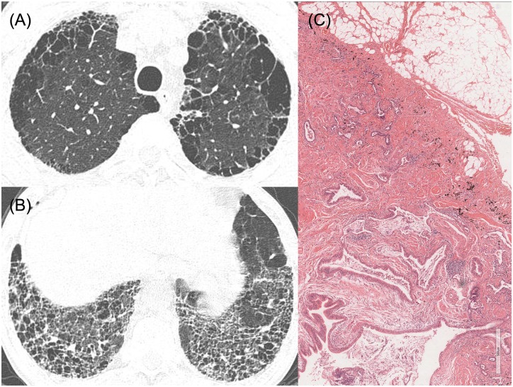 Fig 6