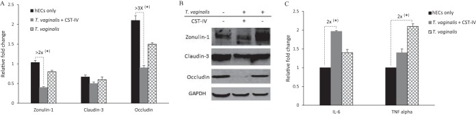 FIG 5