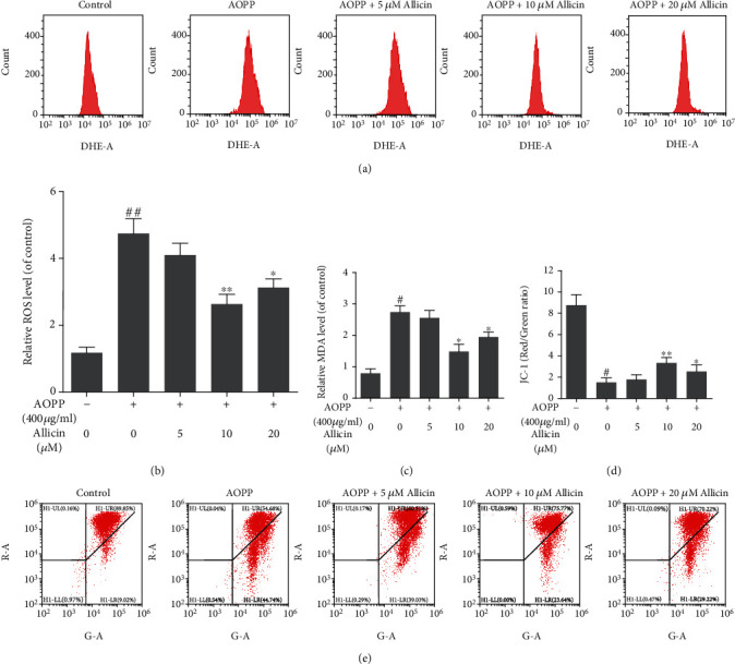 Figure 4