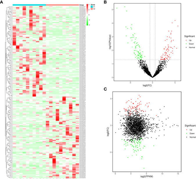 Figure 3