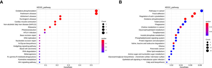 Figure 6