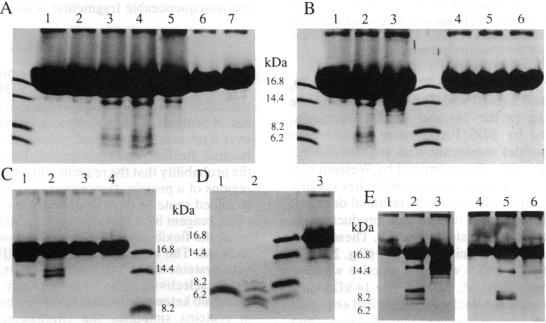 graphic file with name pnas01088-0168-a.jpg