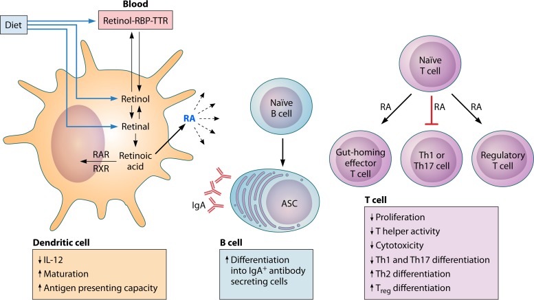 FIG 3