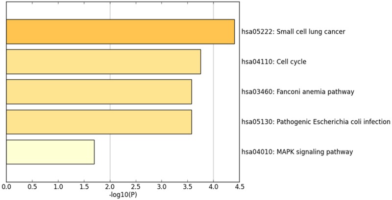 Figure 17