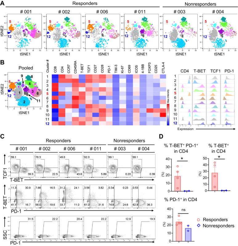 Figure 3. Immune profiling of PBMCs from patients at the baseline. t-SNE plots based on the multicolor FCM analysis of PBMCs at the baseline showing distinctly isolated 12 clusters (A and B). Cluster #5 (CD4+ T-BET+ TCF1− PD-1+ as shown in the mid heat map and the right histograms of B) and Cluster #12 (CD4+ T-BET+ TCF1− PD-1++) were highly enriched among the responders. Flow plots showed enriched T-BET+ or T-BET+ PD-1+ cells among responders and complete lack of these populations among nonresponders (C and D, top). PD-1 expression alone did not predict the responses (C and D, bottom). *, P < 0.05; ns, not significant.