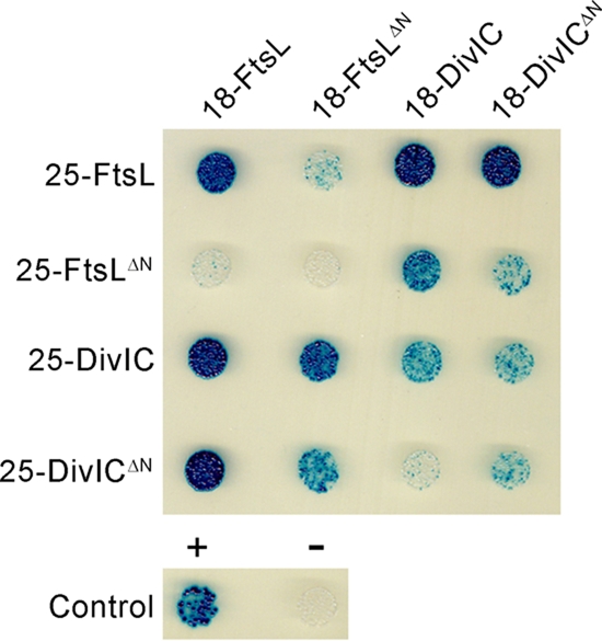 FIG. 2.