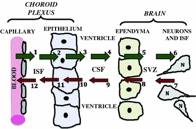 Fig. 2