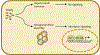 Figure 5 |