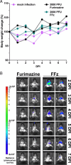 Fig 7