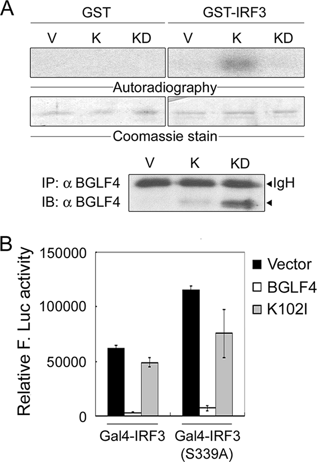 FIG. 6.