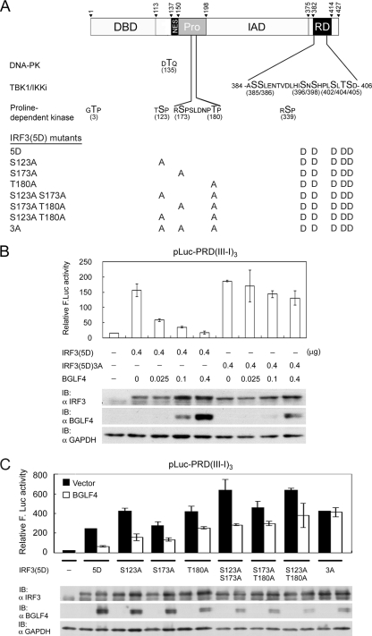 FIG. 7.