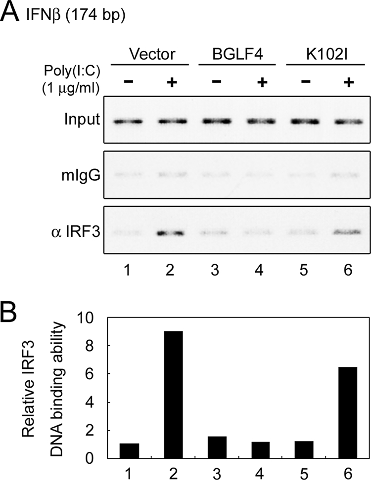 FIG. 5.