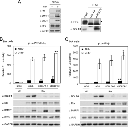 FIG. 8.