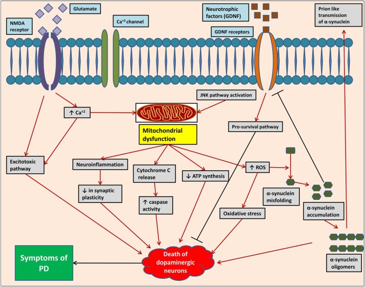 FIGURE 2