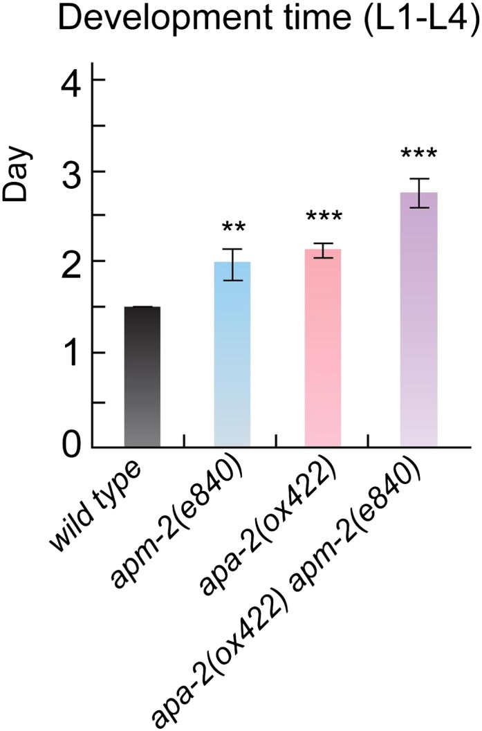 Figure 4—figure supplement 1.