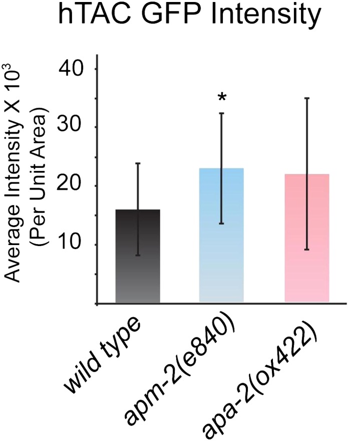 Figure 5—figure supplement 2.