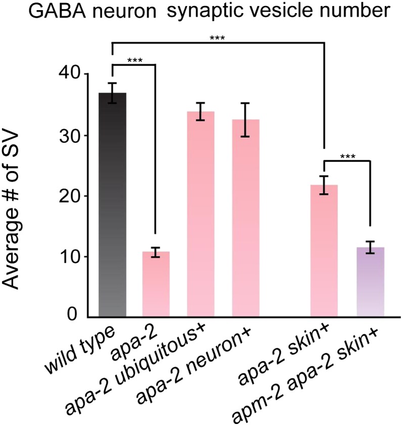 Figure 8—figure supplement 1.