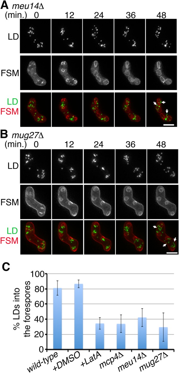 Fig. 3.