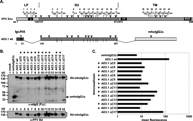 FIG. 6.