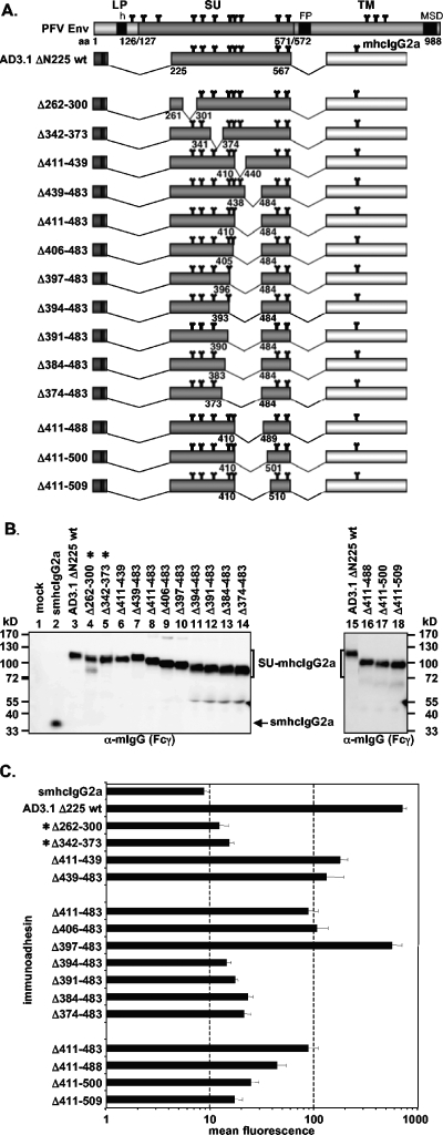 FIG. 7.