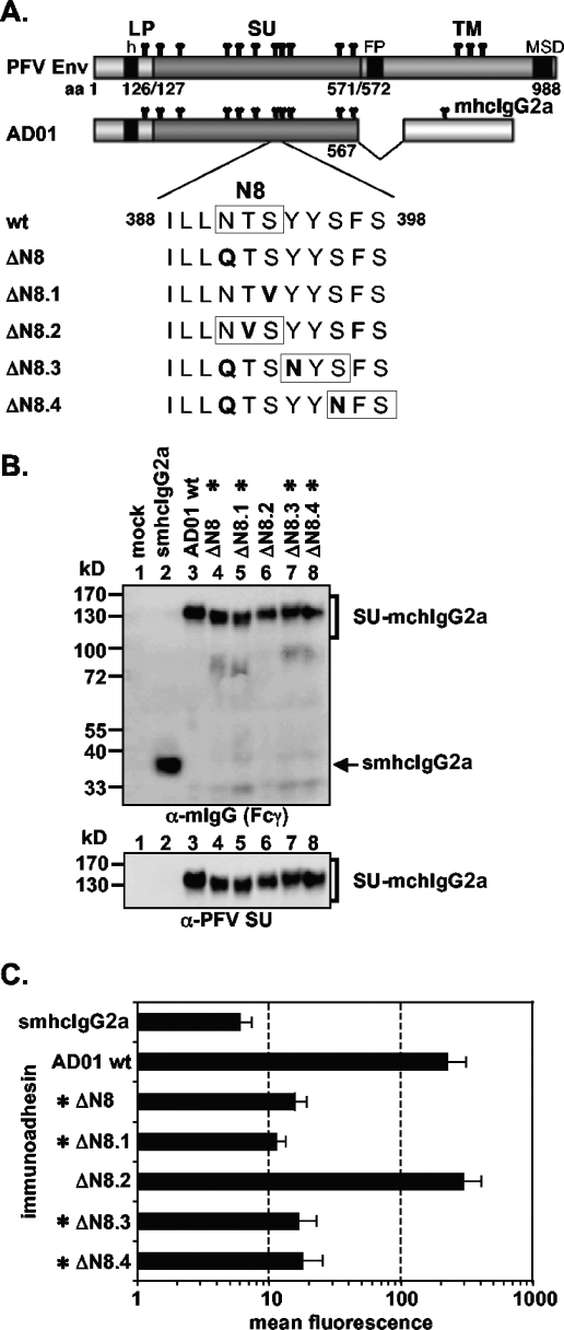 FIG. 5.