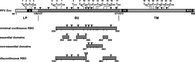 FIG. 8.