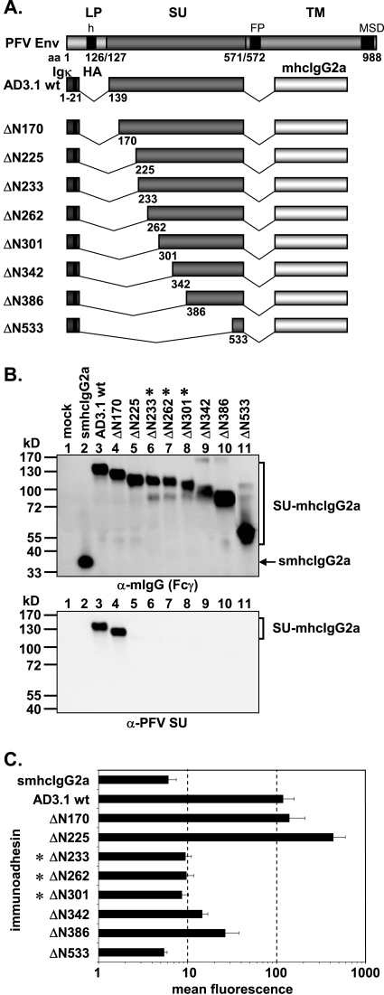 FIG. 3.