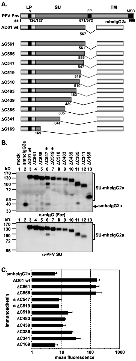 FIG. 4.