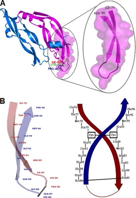 FIGURE 1.