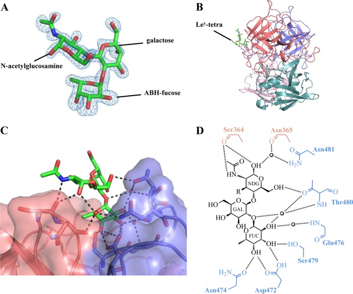 FIG 4