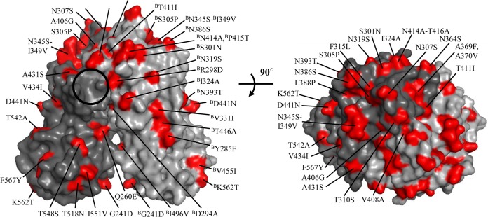 FIG 3