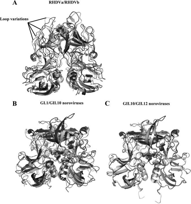 FIG 2