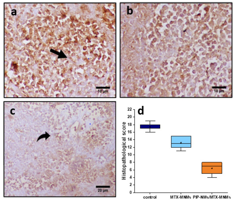 Figure 12