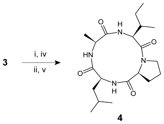 Scheme 1