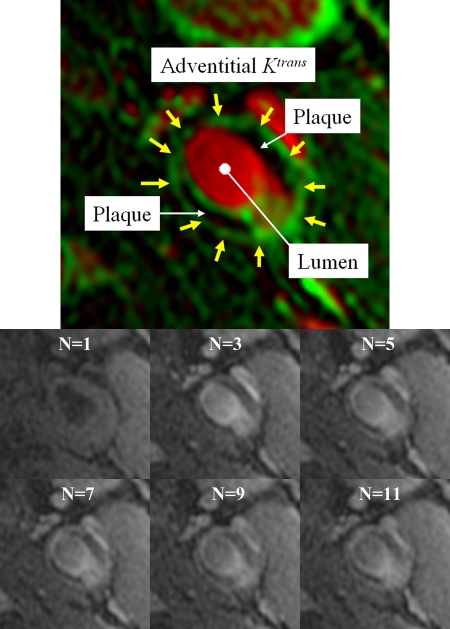 Figure 1: