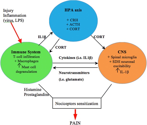 Fig. 2