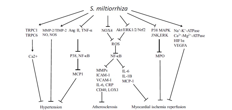 Fig. (3)