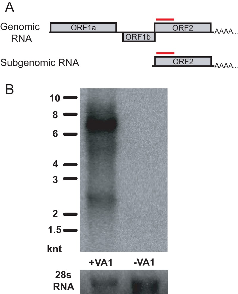 FIG 4