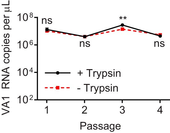 FIG 2