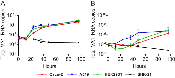 FIG 3