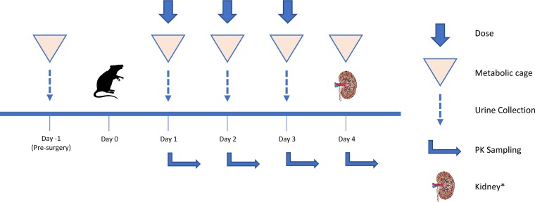 FIG 2