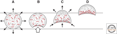 Figure 8.