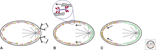 Figure 9.