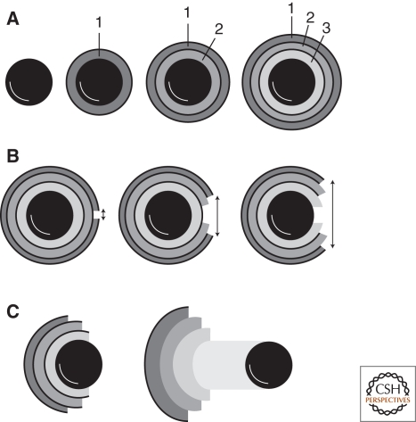 Figure 7.