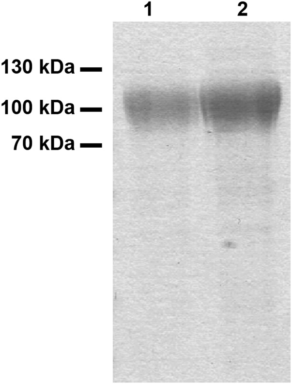 Fig. S2.