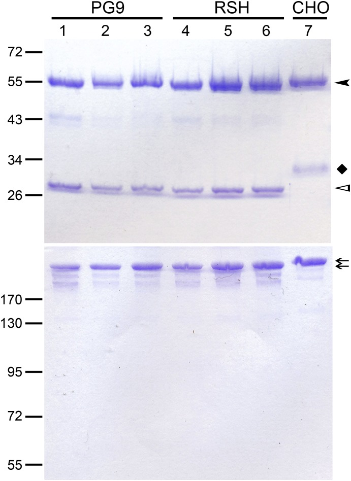 Fig. S1.